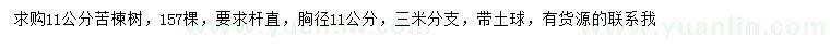 求購胸徑11公分苦楝樹