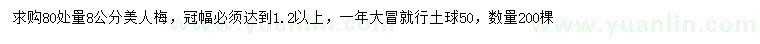 求購80量8公分美人梅