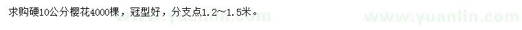 求購10公分櫻花