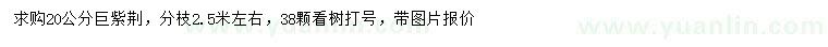 求購(gòu)20公分巨紫荊