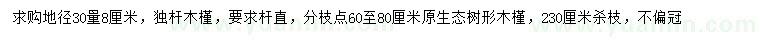 求購(gòu)30量8公分木槿