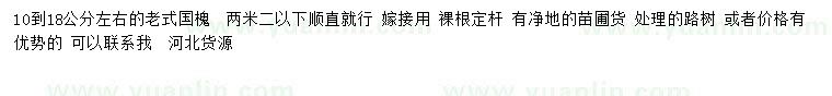 求購10-18公分左右老式國槐