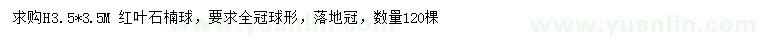 求購3.5米紅葉石楠球