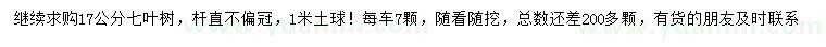 求購17公分七葉樹