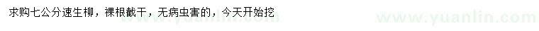 求購(gòu)7公分速生柳
