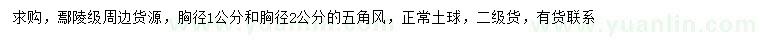 求購胸徑1、2公分五角楓