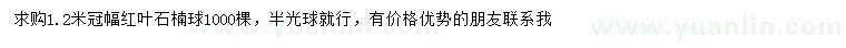 求購(gòu)冠幅1.2米紅葉石楠球