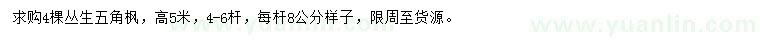 求購高5米叢生五角楓