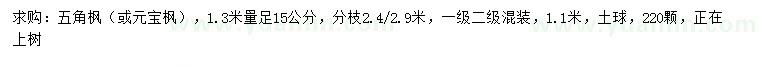 求購1.3米量15公分五角楓、元寶楓