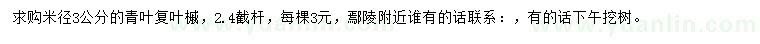 求購米徑3公分青葉復(fù)葉槭