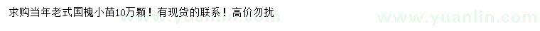 求購(gòu)當(dāng)年生國(guó)槐小苗
