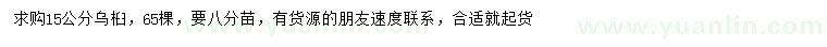 求購15公分烏桕