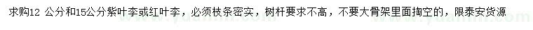 求購12、15公分紫葉李、紅葉李