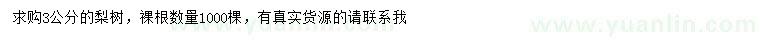 求購3公分梨樹