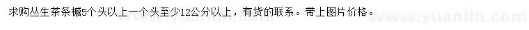 求購5分枝以上叢生茶條槭