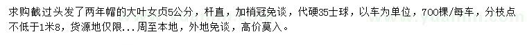 求購5公分大葉女貞