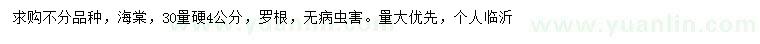 求購4公分海棠