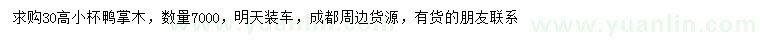 求購30高鴨掌木
