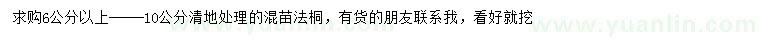求購(gòu)6-10公分法桐