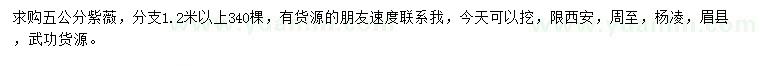 求購(gòu)5公分紫薇