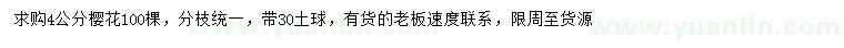 求購4公分櫻花
