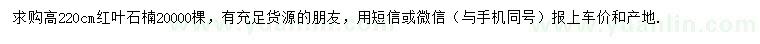 求購高220公分紅葉石楠