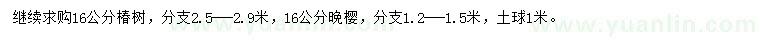 求購16公分椿樹、晚櫻