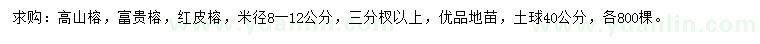 求購高山榕、富貴榕、紅皮榕