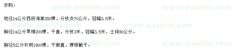 求購西府海棠、旱柳、樸樹