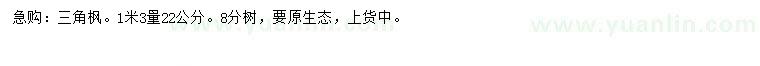 求購22公分三角楓