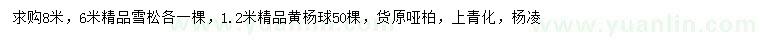 求購6、8米雪松、1.2米黃楊球