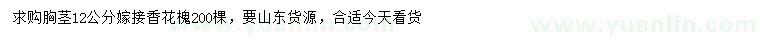 求購胸徑12公分嫁接香花槐