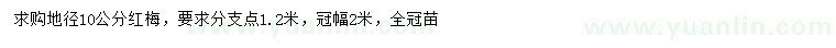 求購地徑10公分紅梅