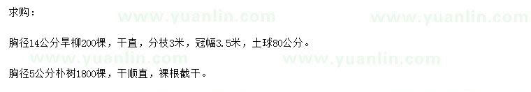 求購(gòu)胸徑14公分旱柳、胸徑5公分樸樹(shù)