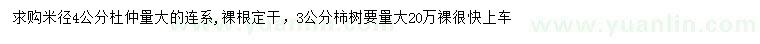 求購(gòu)米徑4公分杜仲、3公分柿樹