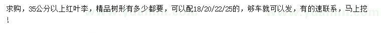 求購(gòu)35公分以上紅葉李