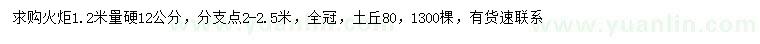 求購12公分火炬花