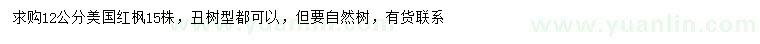 求購12公分美國紅楓