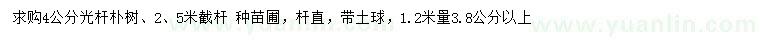 求購4公分光桿樸樹