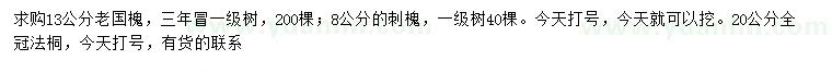 求購老國槐、刺槐、法桐