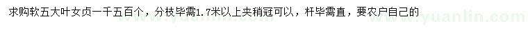 求購5公分大葉女貞