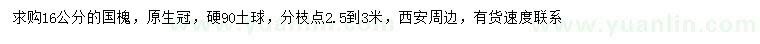 求購16公分國槐
