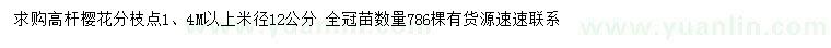 求購(gòu)米徑12公分高桿櫻花