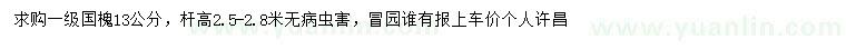 求購國槐13公分