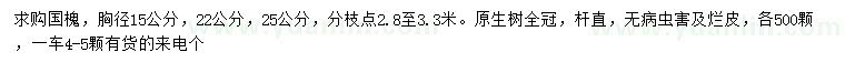求購胸徑15公分、22公分、25公分國槐