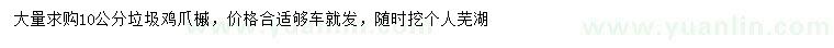 求購(gòu)10公分垃圾雞爪槭