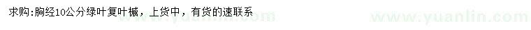 求購胸徑10公分綠葉復(fù)葉槭
