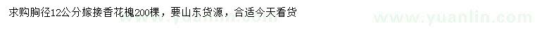求購胸徑12公分香花槐