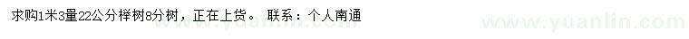 求購22公分櫸樹