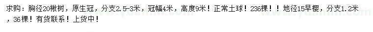 求購胸徑20公分楸樹、地徑15公分早櫻
